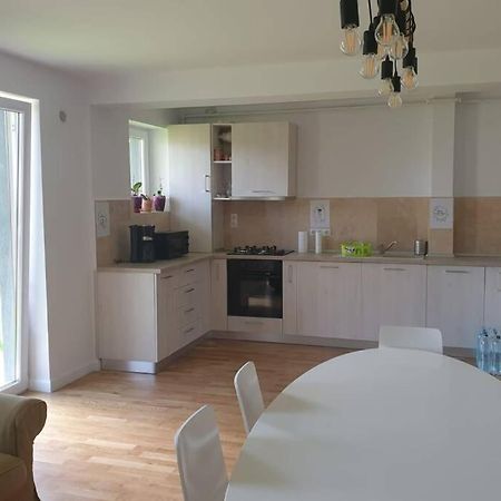 Garden Leisure Apartments Braşov Extérieur photo