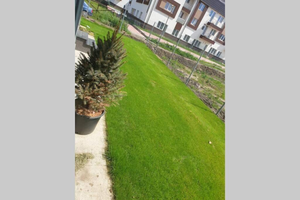 Garden Leisure Apartments Braşov Extérieur photo
